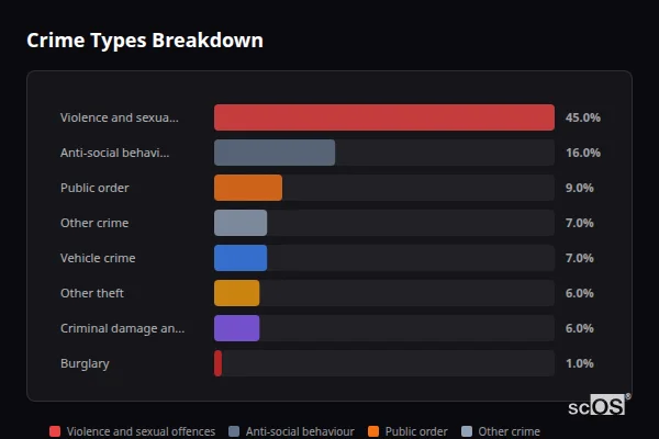 Crime Types Breakdown - Lower Stondon Crime Types Breakdown for Lower Stondon - showing Violence and sexual offences (45%), Anti-social behaviour (16%), Public order (9%)