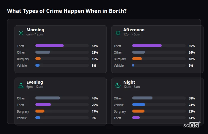 What Types of Crime Happen When in Borth? Crime types by time period for Borth - showing breakdown of burglary, violence, theft, and vehicle crime by morning, afternoon, evening, and night