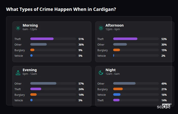 Crime types by time period for Cardigan - showing breakdown of burglary, violence, theft, and vehicle crime by morning, afternoon, evening, and night