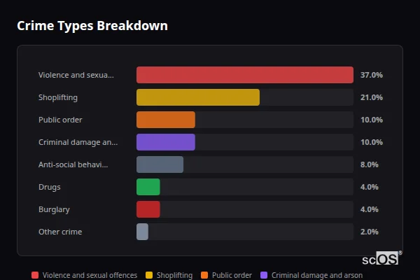 Crime Types Breakdown for Lampeter - showing Violence and sexual offences (37%), Shoplifting (21%), Public order (10%)