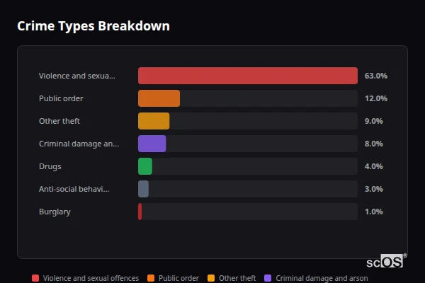 Crime Types Breakdown for Llechryd - showing Violence and sexual offences (63%), Public order (12%), Other theft (9%)
