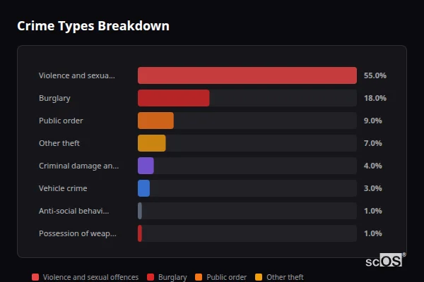 Crime Types Breakdown for Tregaron - showing Violence and sexual offences (55%), Burglary (18%), Public order (9%)