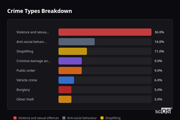 Crime Types Breakdown for Syston - showing Violence and sexual offences (36%), Anti-social behaviour (14%), Shoplifting (11%)