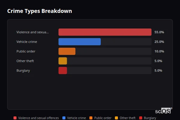 Crime Types Breakdown for High Legh - showing Violence and sexual offences (55%), Vehicle crime (25%), Public order (10%)