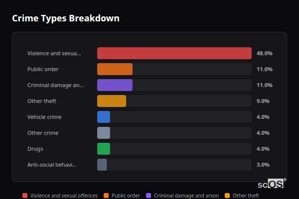 Crime Types Breakdown for Rainow - showing Violence and sexual offences (48%), Public order (11%), Criminal damage and arson (11%)