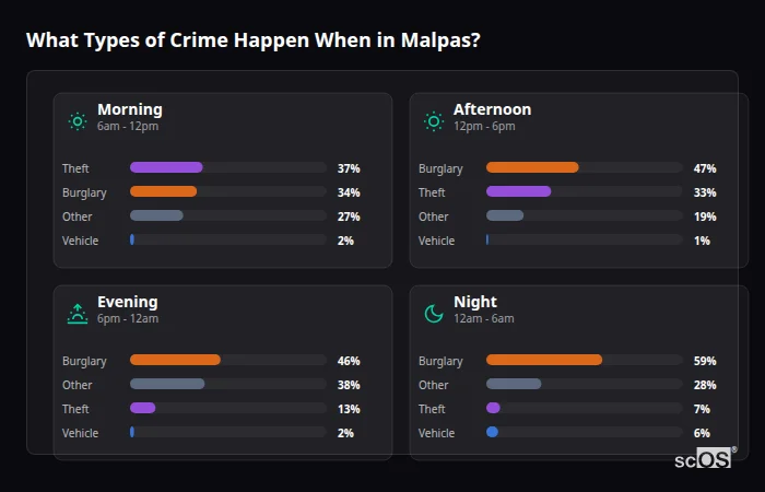 What Types of Crime Happen When in Malpas? Crime types by time period for Malpas - showing breakdown of burglary, violence, theft, and vehicle crime by morning, afternoon, evening, and night