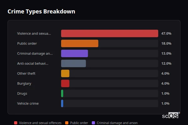 Crime Types Breakdown for Hammer - showing Violence and sexual offences (47%), Public order (18%), Criminal damage and arson (13%)