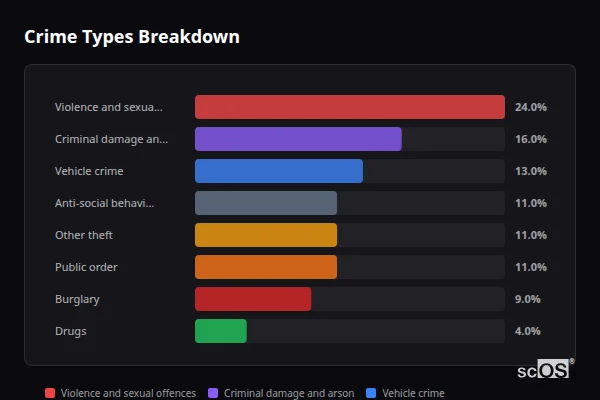 Crime Types Breakdown for Ifold - showing Violence and sexual offences (24%), Criminal damage and arson (16%), Vehicle crime (13%)