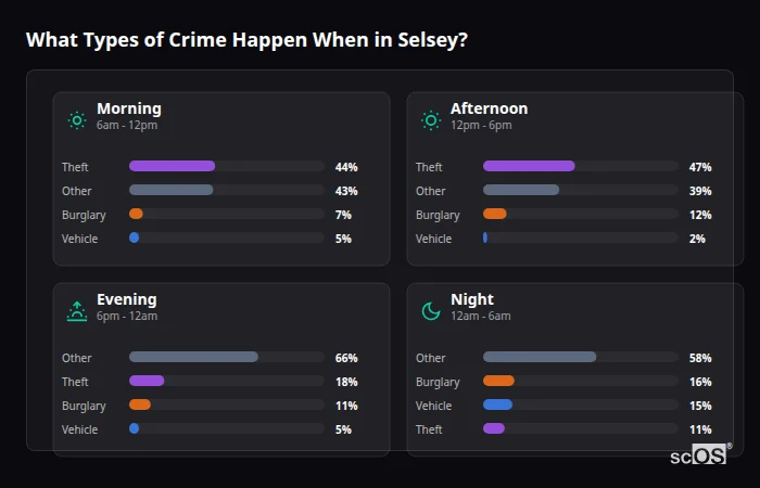 Crime types by time period for Selsey - showing breakdown of burglary, violence, theft, and vehicle crime by morning, afternoon, evening, and night