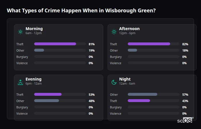 Crime types by time period for Wisborough Green - showing breakdown of burglary, violence, theft, and vehicle crime by morning, afternoon, evening, and night