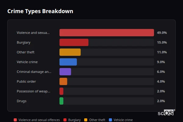 Crime Types Breakdown for Chappel - showing Violence and sexual offences (49%), Burglary (15%), Other theft (11%)