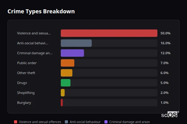 Crime Types Breakdown for Llanfairfechan - showing Violence and sexual offences (50%), Anti-social behaviour (16%), Criminal damage and arson (12%)