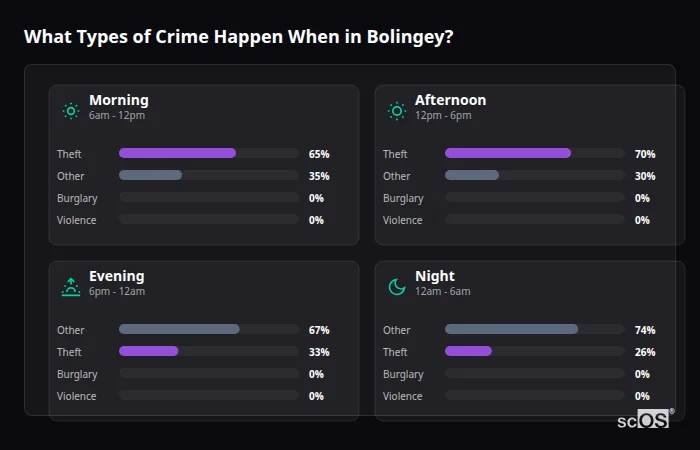 Crime types by time period for Bolingey - showing breakdown of burglary, violence, theft, and vehicle crime by morning, afternoon, evening, and night