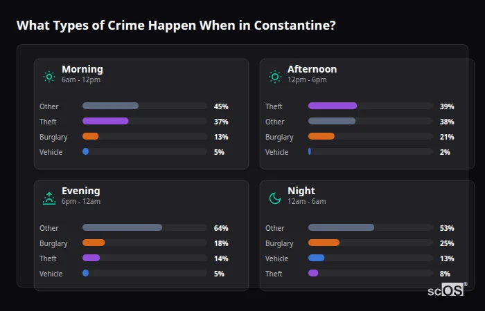 Crime types by time period for Constantine - showing breakdown of burglary, violence, theft, and vehicle crime by morning, afternoon, evening, and night