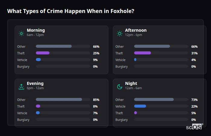 Crime types by time period for Foxhole - showing breakdown of burglary, violence, theft, and vehicle crime by morning, afternoon, evening, and night