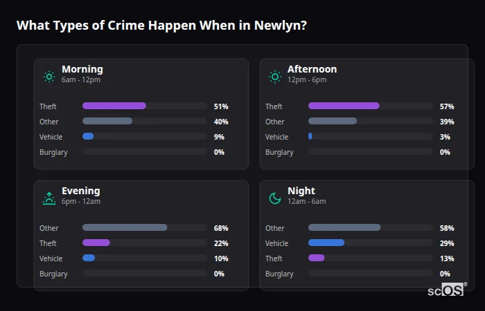 Crime types by time period for Newlyn - showing breakdown of burglary, violence, theft, and vehicle crime by morning, afternoon, evening, and night