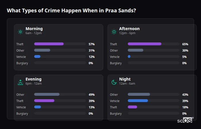 Crime types by time period for Praa Sands - showing breakdown of burglary, violence, theft, and vehicle crime by morning, afternoon, evening, and night