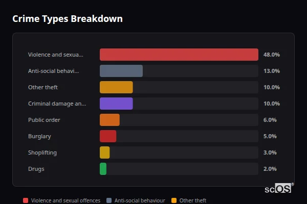 Crime Types Breakdown for Roche - showing Violence and sexual offences (48%), Anti-social behaviour (13%), Other theft (10%)