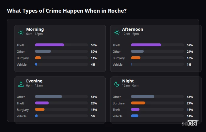 Crime types by time period for Roche - showing breakdown of burglary, violence, theft, and vehicle crime by morning, afternoon, evening, and night