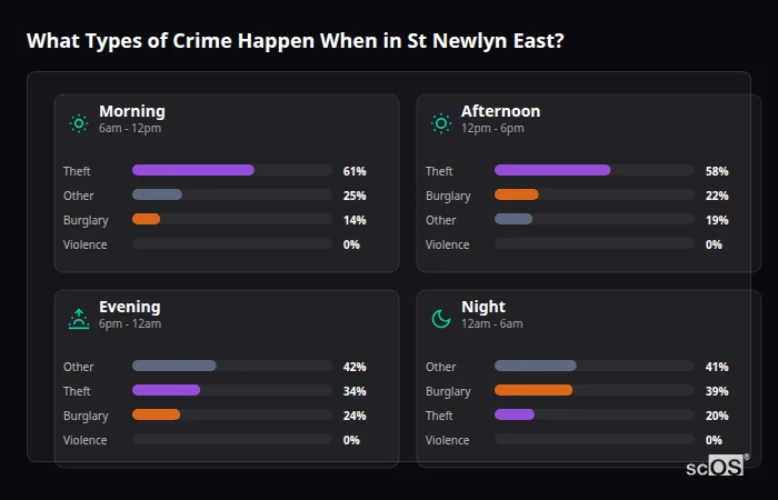 What Types of Crime Happen When in St Newlyn East? Crime types by time period for St Newlyn East - showing breakdown of burglary, violence, theft, and vehicle crime by morning, afternoon, evening, and night