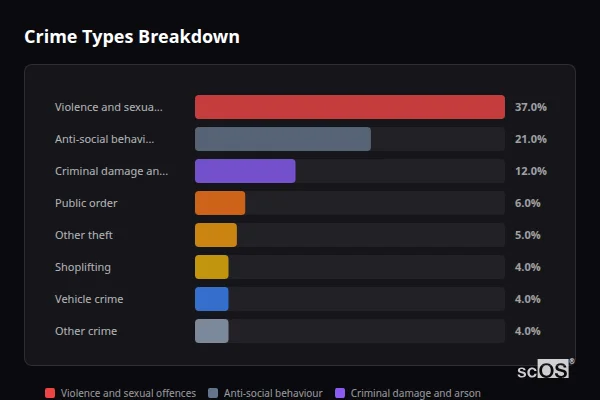 Crime Types Breakdown for Annfield Plain - showing Violence and sexual offences (37%), Anti-social behaviour (21%), Criminal damage and arson (12%)