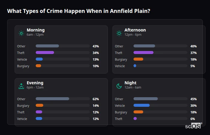 Crime types by time period for Annfield Plain - showing breakdown of burglary, violence, theft, and vehicle crime by morning, afternoon, evening, and night