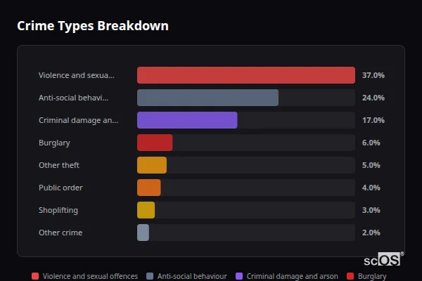 Crime Types Breakdown for Bournmoor - showing Violence and sexual offences (37%), Anti-social behaviour (24%), Criminal damage and arson (17%)