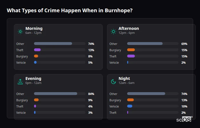 Crime types by time period for Burnhope - showing breakdown of burglary, violence, theft, and vehicle crime by morning, afternoon, evening, and night