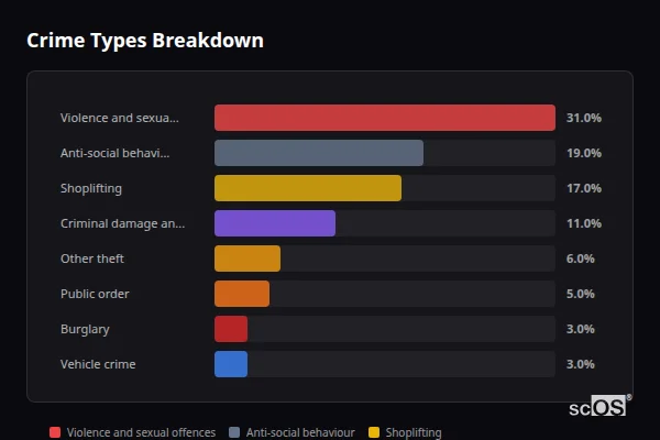 Crime Types Breakdown for Chester-le-Street - showing Violence and sexual offences (31%), Anti-social behaviour (19%), Shoplifting (17%)