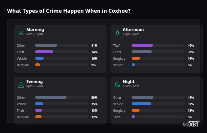 What Types of Crime Happen When in Coxhoe? Crime types by time period for Coxhoe - showing breakdown of burglary, violence, theft, and vehicle crime by morning, afternoon, evening, and night