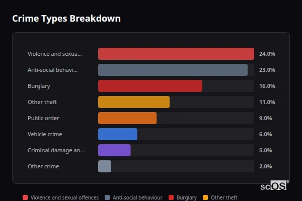 Crime Types Breakdown for High Pittington - showing Violence and sexual offences (24%), Anti-social behaviour (23%), Burglary (16%)