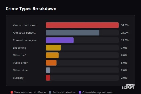 Crime Types Breakdown for Langley Park - showing Violence and sexual offences (34%), Anti-social behaviour (25%), Criminal damage and arson (13%)