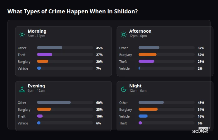 Crime types by time period for Shildon - showing breakdown of burglary, violence, theft, and vehicle crime by morning, afternoon, evening, and night