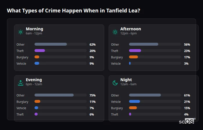 What Types of Crime Happen When in Tanfield Lea? Crime types by time period for Tanfield Lea - showing breakdown of burglary, violence, theft, and vehicle crime by morning, afternoon, evening, and night