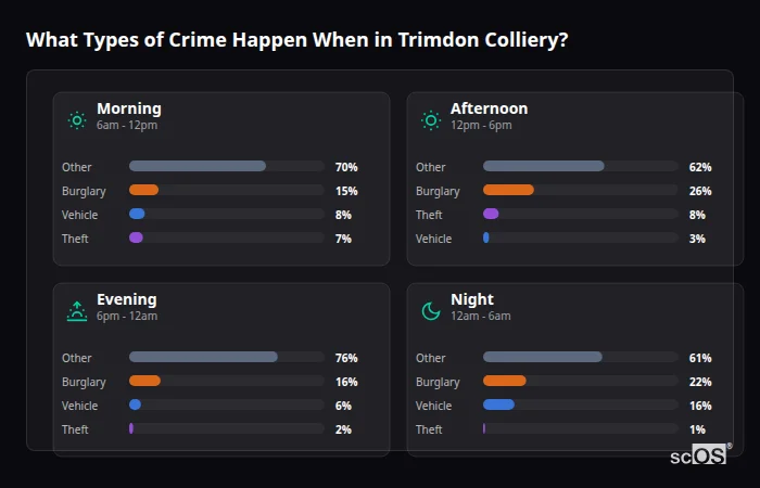 Crime types by time period for Trimdon Colliery - showing breakdown of burglary, violence, theft, and vehicle crime by morning, afternoon, evening, and night
