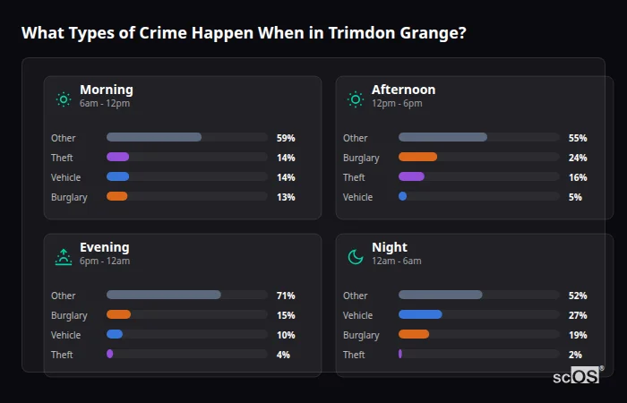 Crime types by time period for Trimdon Grange - showing breakdown of burglary, violence, theft, and vehicle crime by morning, afternoon, evening, and night
