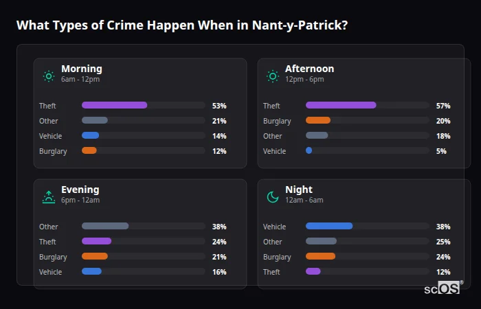 What Types of Crime Happen When in Nant-y-Patrick? Crime types by time period for Nant-y-Patrick - showing breakdown of burglary, violence, theft, and vehicle crime by morning, afternoon, evening, and night