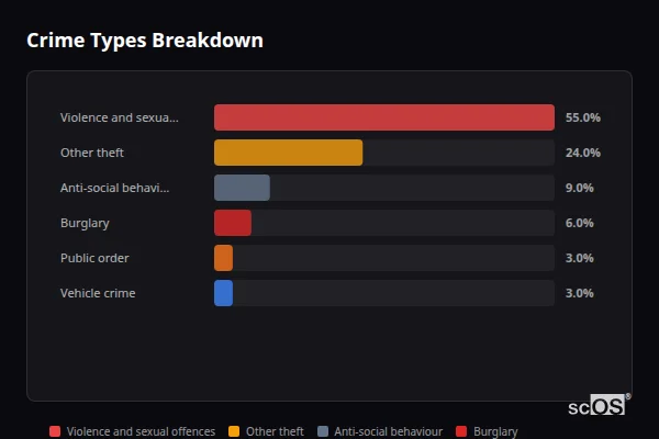 Crime Types Breakdown - Winterborne Kingston Crime Types Breakdown for Winterborne Kingston - showing Violence and sexual offences (55%), Other theft (24%), Anti-social behaviour (9%)