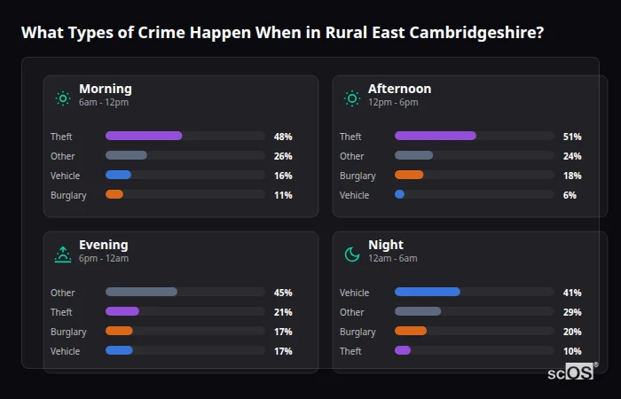 Crime types by time period for Rural East Cambridgeshire - showing breakdown of burglary, violence, theft, and vehicle crime by morning, afternoon, evening, and night