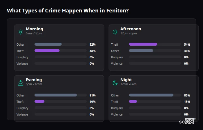 What Types of Crime Happen When in Feniton? Crime types by time period for Feniton - showing breakdown of burglary, violence, theft, and vehicle crime by morning, afternoon, evening, and night