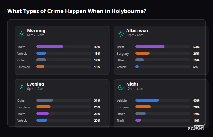 Crime types by time period for Holybourne - showing breakdown of burglary, violence, theft, and vehicle crime by morning, afternoon, evening, and night