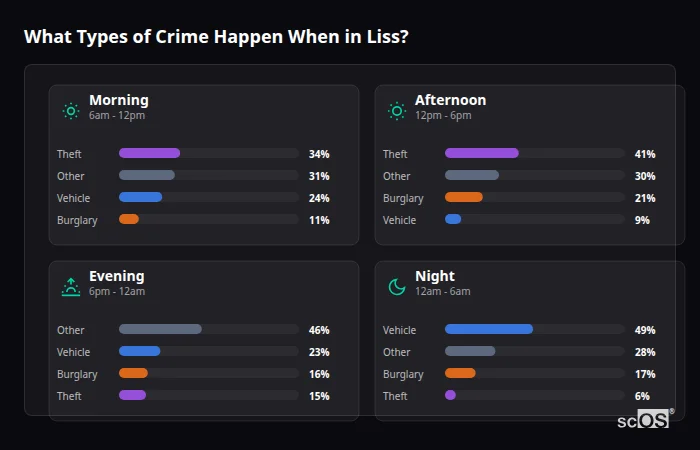 What Types of Crime Happen When in Liss? Crime types by time period for Liss - showing breakdown of burglary, violence, theft, and vehicle crime by morning, afternoon, evening, and night