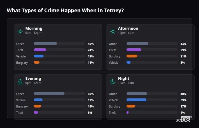 Crime types by time period for Tetney - showing breakdown of burglary, violence, theft, and vehicle crime by morning, afternoon, evening, and night