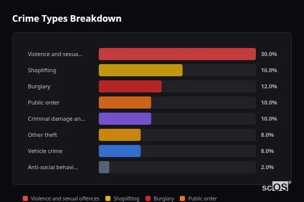 Crime Types Breakdown for Bilton - showing Violence and sexual offences (30%), Shoplifting (16%), Burglary (12%)