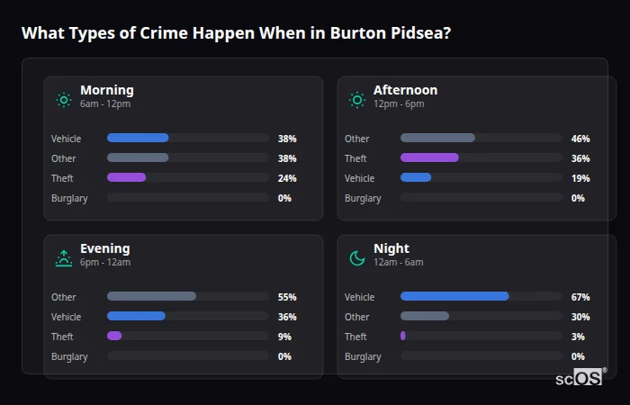 What Types of Crime Happen When in Burton Pidsea? Crime types by time period for Burton Pidsea - showing breakdown of burglary, violence, theft, and vehicle crime by morning, afternoon, evening, and night