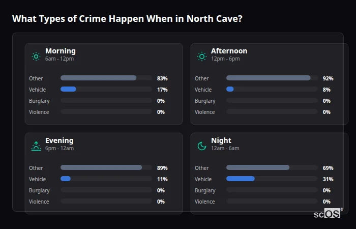Crime types by time period for North Cave - showing breakdown of burglary, violence, theft, and vehicle crime by morning, afternoon, evening, and night
