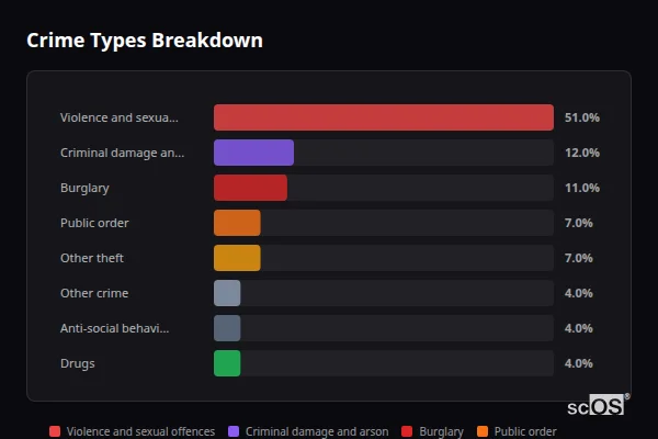 Crime Types Breakdown - Skirlaugh Crime Types Breakdown for Skirlaugh - showing Violence and sexual offences (51%), Criminal damage and arson (12%), Burglary (11%)