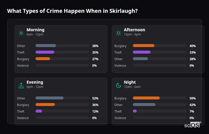 What Types of Crime Happen When in Skirlaugh? Crime types by time period for Skirlaugh - showing breakdown of burglary, violence, theft, and vehicle crime by morning, afternoon, evening, and night