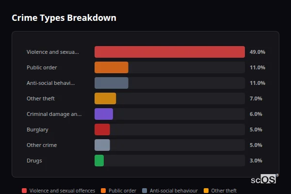 Crime Types Breakdown - Woodmansey Crime Types Breakdown for Woodmansey - showing Violence and sexual offences (49%), Public order (11%), Anti-social behaviour (11%)