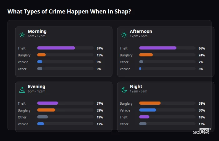 Crime types by time period for Shap - showing breakdown of burglary, violence, theft, and vehicle crime by morning, afternoon, evening, and night